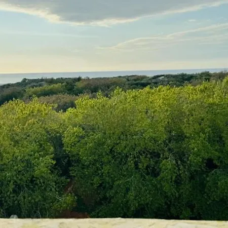 Apartman Le Carlton Front De